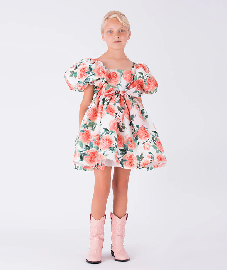 Balon Kollu Desenli Elbise