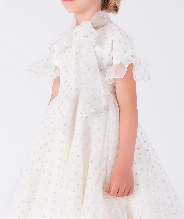 Altın Puantiyeli Organze Elbise