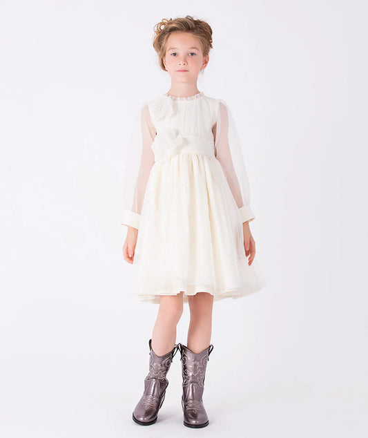 Çiçek Aplikeli Organze Elbise