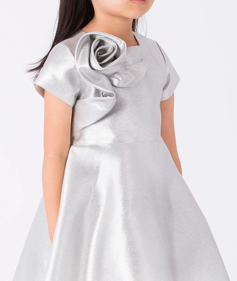 Çiçek Aplikeli Gümüş Elbise