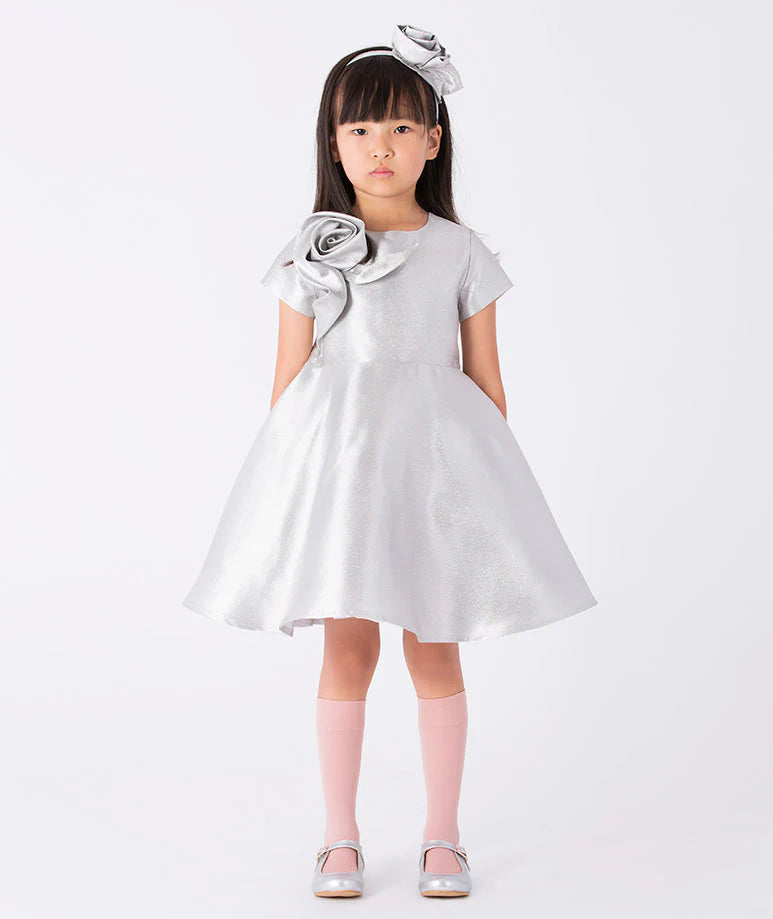 Çiçek Aplikeli Gümüş Elbise