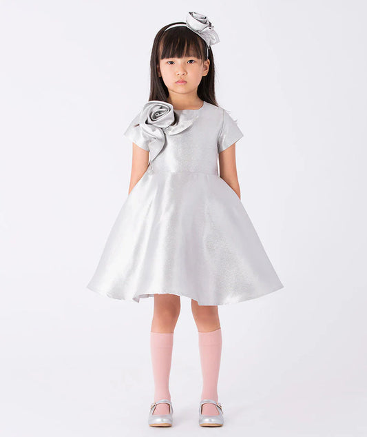 Çiçek Aplikeli Gümüş Elbise